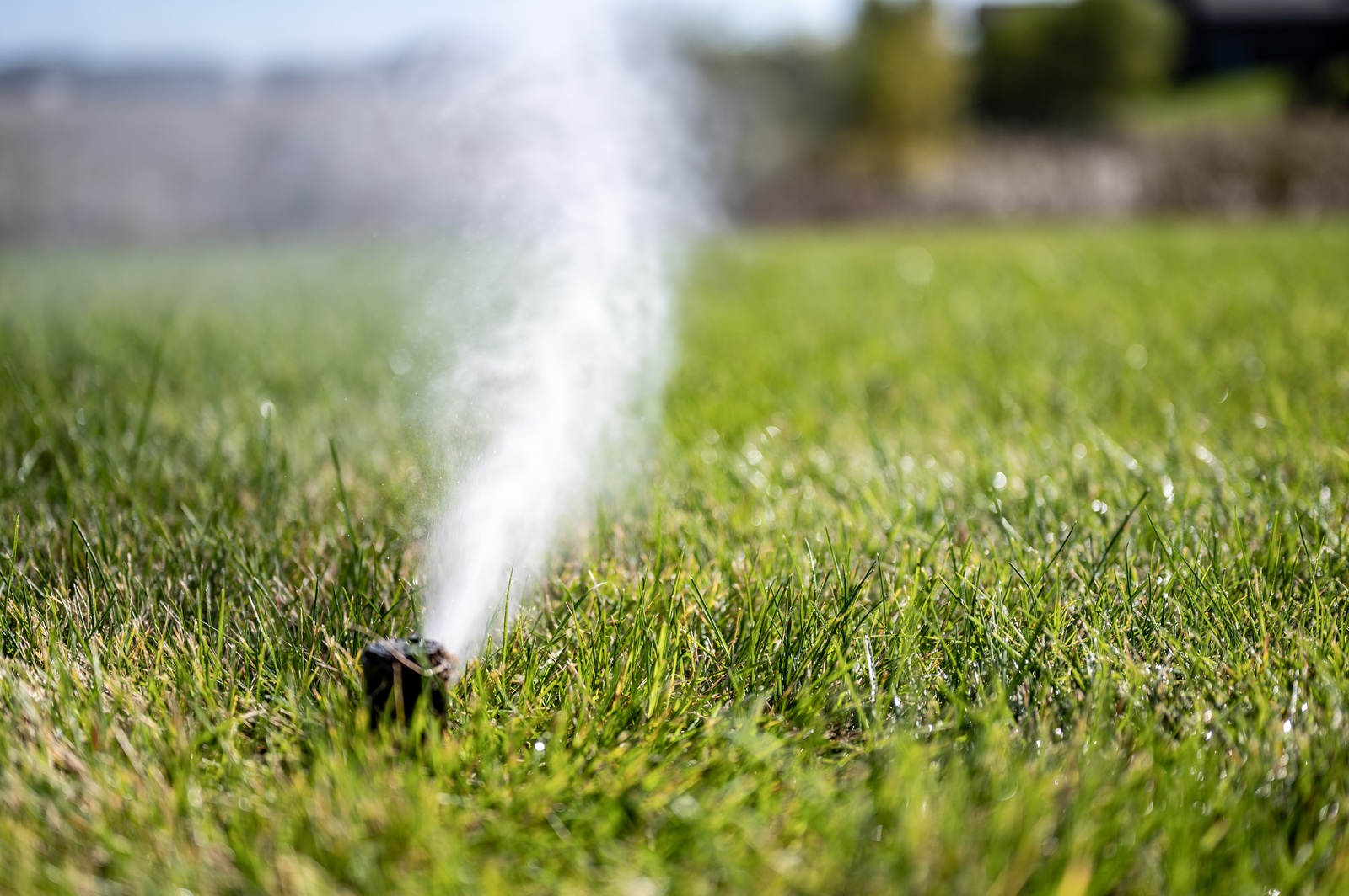 When Should You Winterize Your Sprinkler System on Long Island